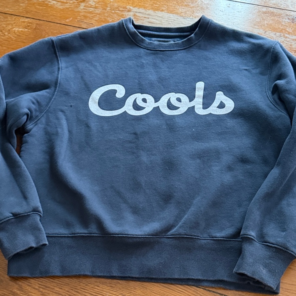 Barney Cools Blue Sweater